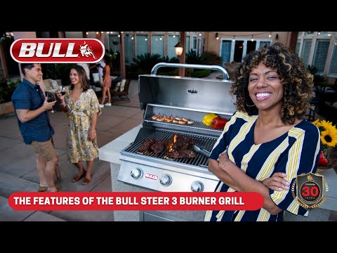 Bull Steer Video